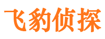 高州市调查取证